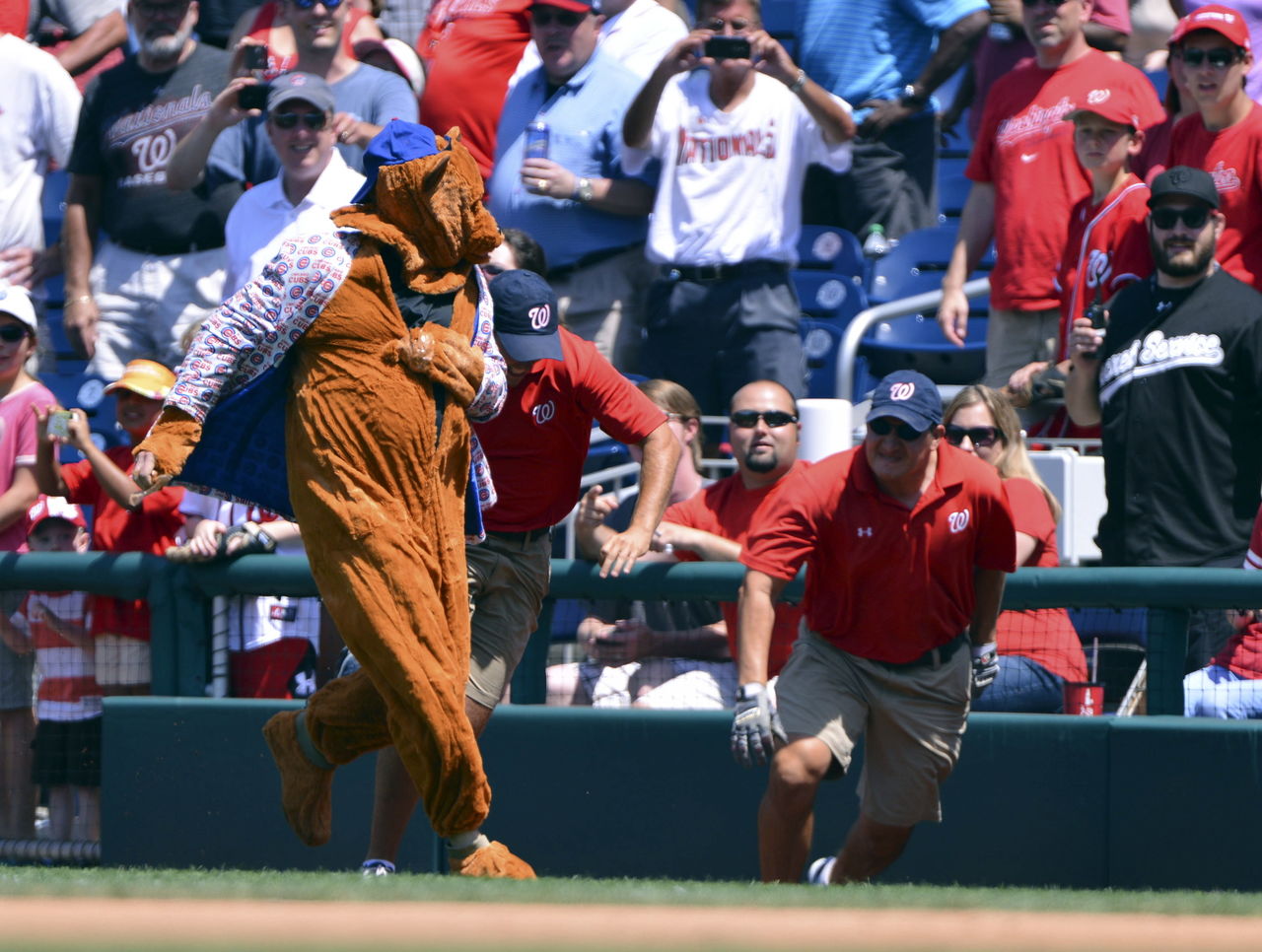 Cubs sue fake 'Billy Cub' mascot who got in bar fight