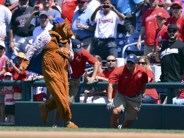 Chicago Cubs sue man behind fake mascot who punched a fan in a bar 