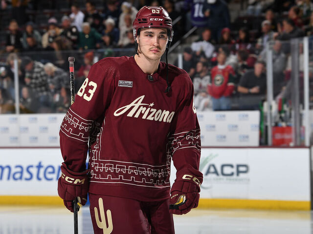 Coyotes move to terminate Ruzicka's contract after video | theScore