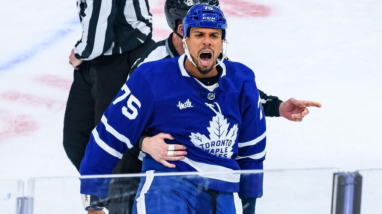 TORONTO, ON - FEBRUARY 29: Toronto Maple Leafs Right Wing Ryan Reaves (75) reacts after a fight during the first period of the NHL regular season game between the Arizona Coyotes and the Toronto Maple Leafs on February 29, 2024, at Scotiabank Arena in Toronto, ON, Canada.