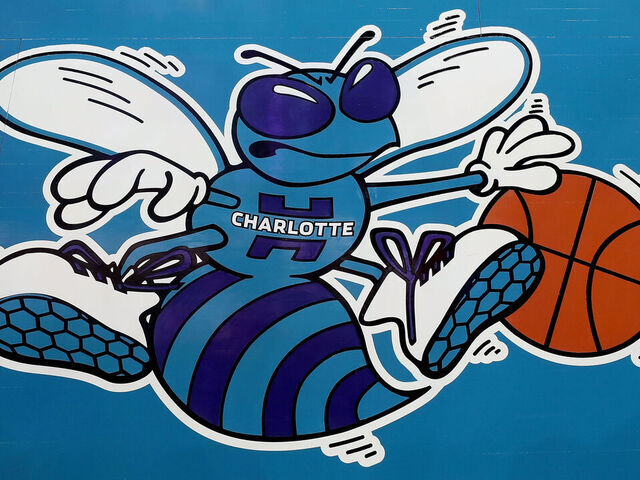 Hornets basketball on sale