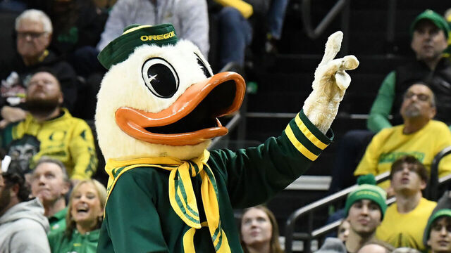 EUGENE, OR - FEBRUARY 08: The Oregon Ducks mascot, Puddles, performs for the crowd during a PAC-12 Conference college basketball game between the Oregon Ducks and Washington Huskies on February 8, 2024 at Matthew Knight Arena in Eugene, Oregon.