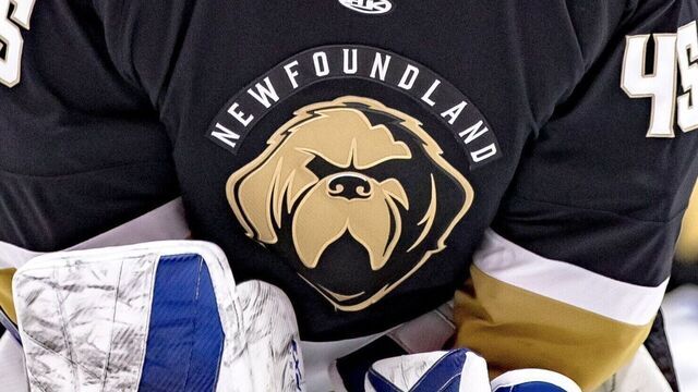 ECHL's Newfoundland Growlers cease operations