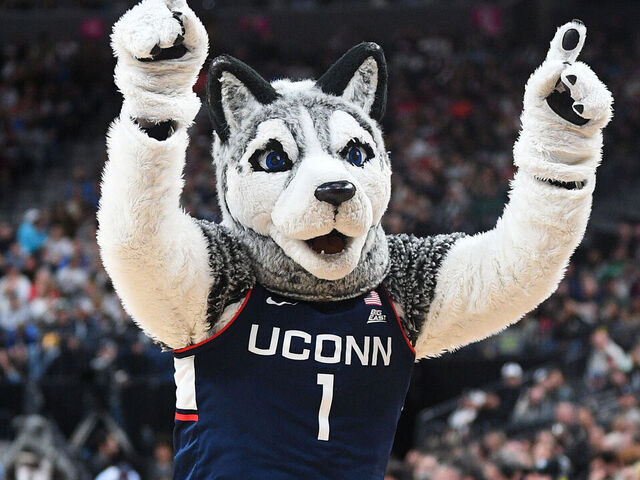 LAS VEGAS, NV - MARCH 25: Jonathan the Husky mascot cheers during the NCAA Division I Men's Championship Elite Eight round basketball game between the Gonzaga Bulldogs and the UConn Huskies on March 25, 2023 at T-Mobile Arena in Las Vegas, NV.