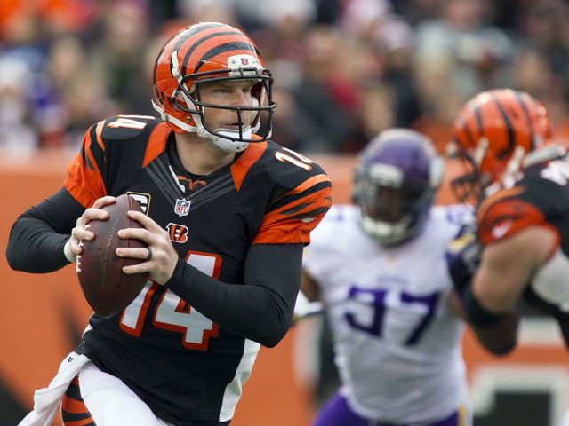 2014 NFL Preview: Everything you need to know about the Cincinnati Bengals