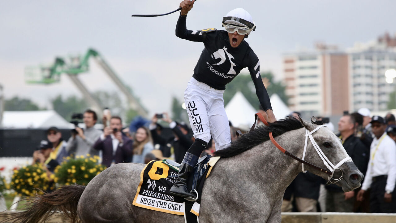 BALTIMORE, MD - MAY 18: Seize The Grey with Jaimie Torres riding wins the Preakness Stakes at Pimlico Race Course, on May 18, 2024 in Baltimore, Maryland.