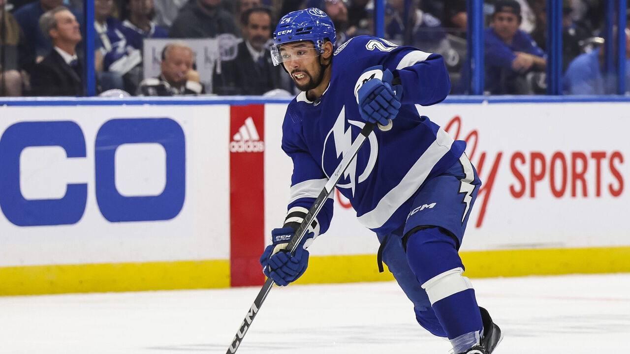 TAMPA, FL - APRIL 11: Matt Dumba #24 of the Tampa Bay Lightning against the Ottawa Senators during the third period at Amalie Arena on April 11, 2024 in Tampa, Florida.