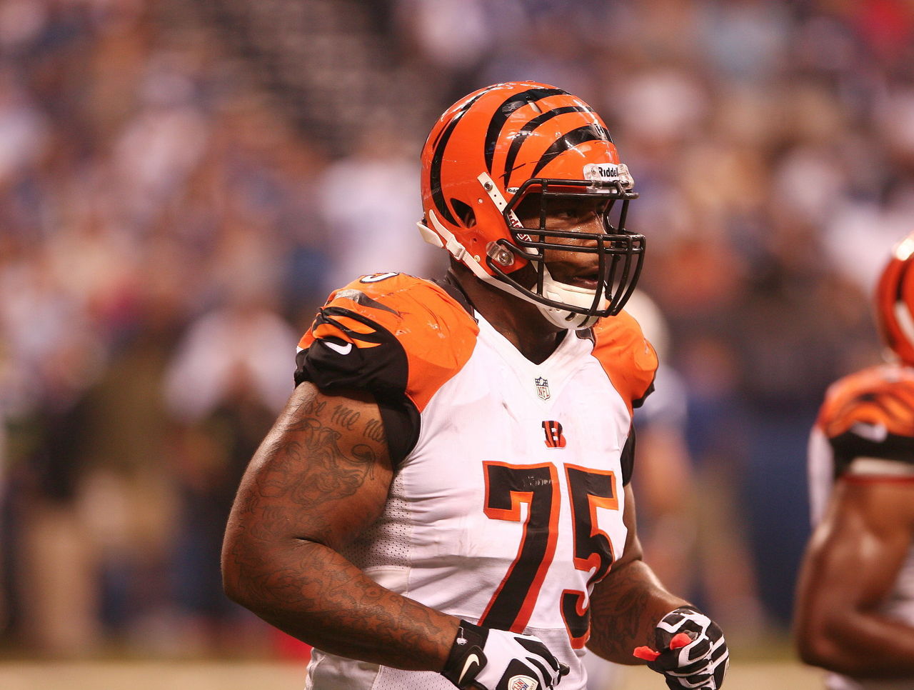 Report: Bengals add Still to active roster; jersey sales aiding