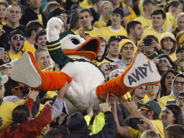 The true identity of the Oregon Duck