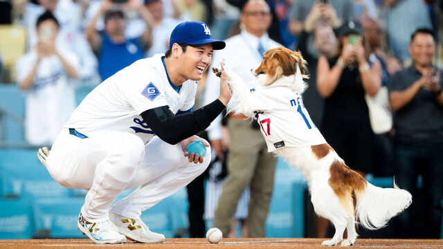 LOS ANGELES, CALIFORNIA - AUGUST 28: Decoy, right, high fives his owner Shohei Ohtani #17 of the Los Angeles Dodgers after he carries out the first pitch before the game against the Baltimore Orioles at Dodger Stadium on Wednesday, Aug. 28, 2024 in Los Angeles, California.(Wally Skalij / Los Angeles Times via Getty Images)