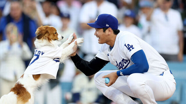 LOS ANGELES, CALIFORNIA - AUGUST 28: Shohei Ohtani #17 of the Los Angeles Dodgers and his dog Decoy delivers a ceremonial first before the game against the Baltimore Orioles on Shohei Ohtani #17 bobblehead giveaway night at Dodger Stadium on August 28, 2024 in Los Angeles, California.