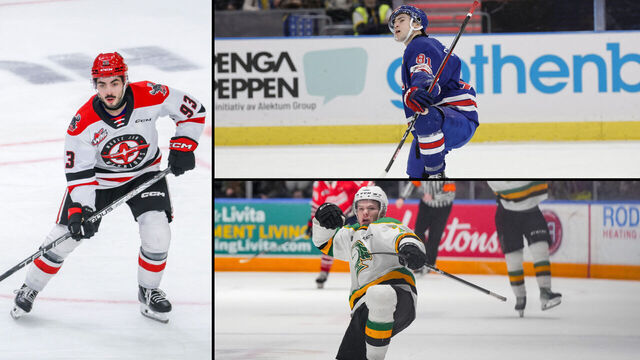 Top 50 NHL-affiliated prospects: 50-31