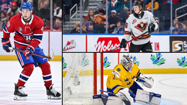 Top 50 NHL-affiliated prospects: 30-11