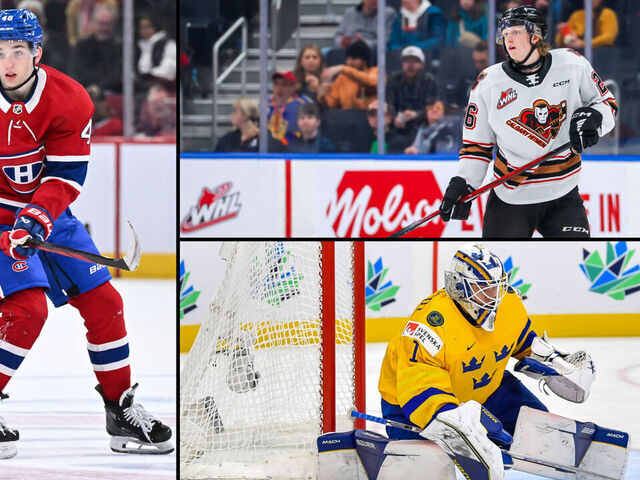 Top 50 NHL-affiliated prospects: 30-11