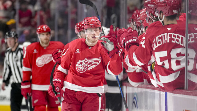 DETROIT, MICHIGAN - JANUARY 27: Lucas Raymond #23 of the Detroit Red Wings celebrates after scoring a goal against the Los Angeles Kings during the first period at Little Caesars Arena on January 27, 2025 in Detroit, Michigan.