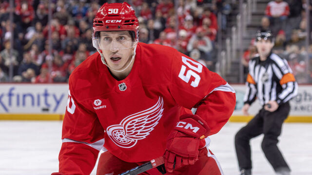 DETROIT, MICHIGAN - JANUARY 27: Dominik Shine #50 of the Detroit Red Wings follows the play in his first NHL game against the Los Angeles Kings during the second period at Little Caesars Arena on January 27, 2025 in Detroit, Michigan.