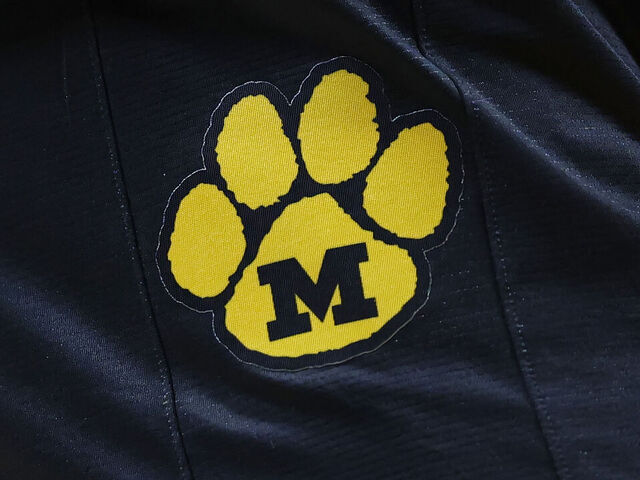 KNOXVILLE, TENNESSEE - FEBRUARY 05: A detailed photo of the Missouri Tigers logo during the second half at Thompson-Boling Arena on February 05, 2025 in Knoxville, Tennessee.