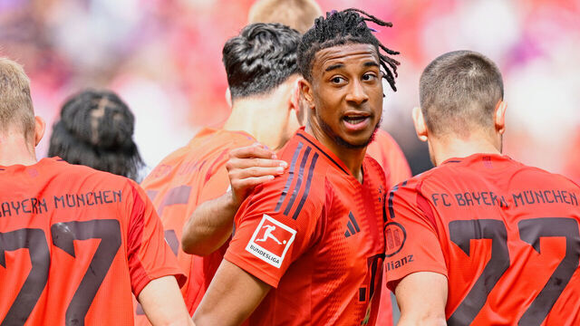 17 May 2025, Baden-Württemberg, Sinsheim: Soccer: Bundesliga, TSG 1899 Hoffenheim - Bayern Munich, Matchday 34, PreZero Arena. Munich's goalscorer Michael Olise (M) celebrates the 0:1 goal with his teammates. Photo: Uwe Anspach/dpa - IMPORTANT NOTE: In accordance with the regulations of the DFL German Football League and the DFB German Football Association, it is prohibited to utilize or have utilized photographs taken in the stadium and/or of the match in the form of sequential images and/or video-like photo series.