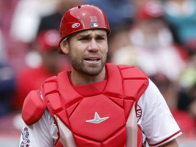 CINCINNATI, OH - APRIL 17: Cincinnati Reds catcher Austin Wynns (38) looks on during an MLB game against the Seattle Mariners on April 17, 2025 at Great American Ball Park in Cincinnati, Ohio.
