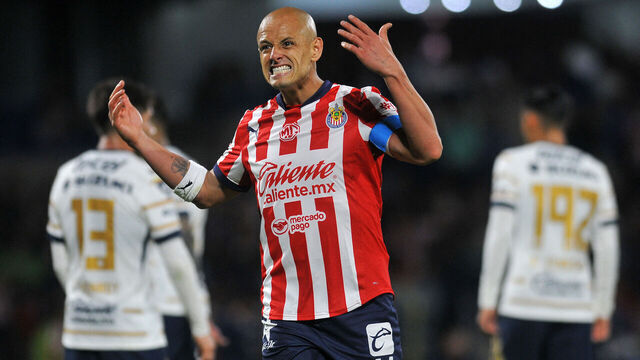 Guadalajara's forward #14 Javier Hernandez reacts during the Liga MX Clausura football match between Pumas and Guadalajara at the Olimpico Universitario stadium in Mexico City on March 1, 2025.