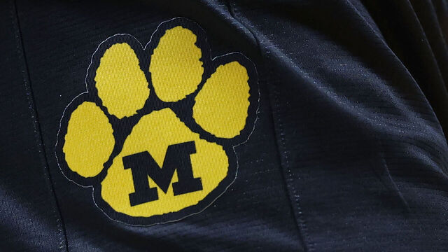 KNOXVILLE, TENNESSEE - FEBRUARY 05: A detailed photo of the Missouri Tigers logo during the second half at Thompson-Boling Arena on February 05, 2025 in Knoxville, Tennessee.