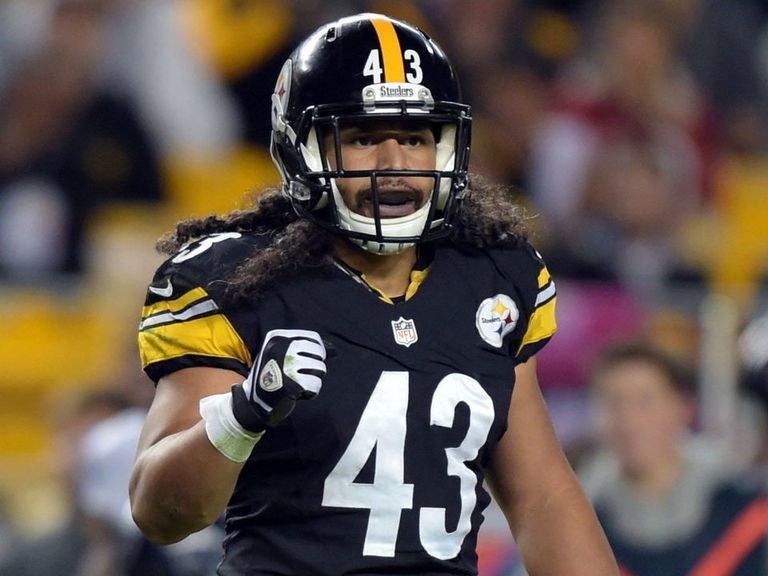 Titans won't forget Troy Polamalu