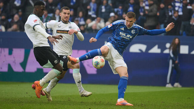 25 January 2026, North Rhine-Westphalia, Gelsenkirchen: Soccer, Men, Bundesliga 2, Matchday 19, FC Schalke 04 - 1. FC Kaiserslautern, Veltins Arena: Edin Dzeko (FC Schalke 04) scores to make it 1-2. Photo: Bernd Thissen/dpa - IMPORTANT NOTE: In accordance with the regulations of the DFL German Football League and the DFB German Football Association, it is prohibited to utilize or have utilized photographs taken in the stadium and/or of the match in the form of sequential images and/or video-like photo series.
