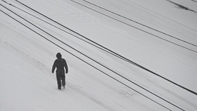 CHARLOTTE, USA - JANUARY 31: Snow covers Charlotte during winter storm Gianna, as bomb cyclone brings heavy snow in Charlotte NC, United States on January 31, 2026