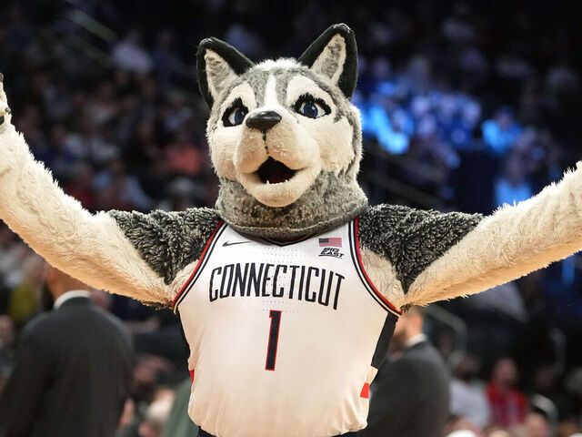 NEW YORK, NY - MARCH 13: The Connecticut Huskies mascot on the floor during the 2026 Big East Men's Tournament - Semifinal game against the Georgetown Hoyas at Madison Square Garden on March 13, 2026 in New York City.
