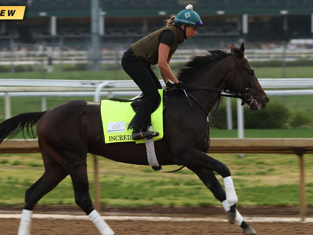 151st Preakness Stakes: Field list, race time, betting odds…