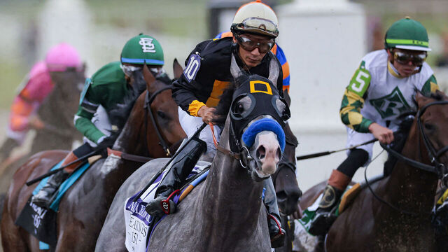 LAUREL, MARYLAND - MAY 16: Napoleon Solo #10, ridden by jockey Ricardo Santana Jr., rounds the first corner of the 151st Preakness Stakes at Laurel Park on May 16, 2026 in Laurel, Maryland. For the first and only time, Laurel Park is hosting the Preakness Stakes, the second race of the Triple Crown, as its traditional home at Pimlico Race Course undergoes complete renovations.