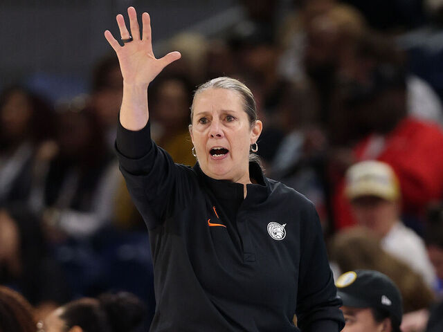 Reeve steps away from WNBA grind for women's hoops HOF