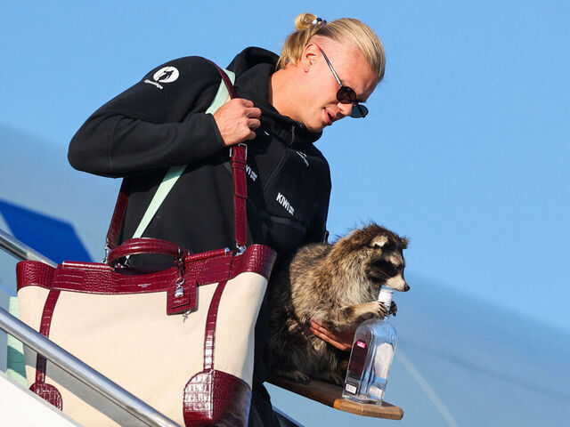 Haaland returns from World Cup with viral stuffed raccoon Haaland returns from World Cup with viral stuffed raccoon