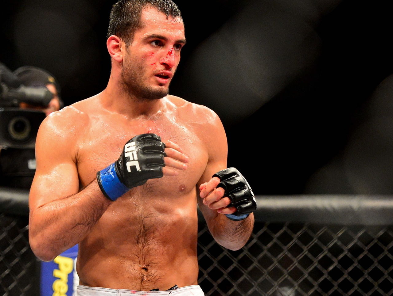 Gegard Mousasi MMA