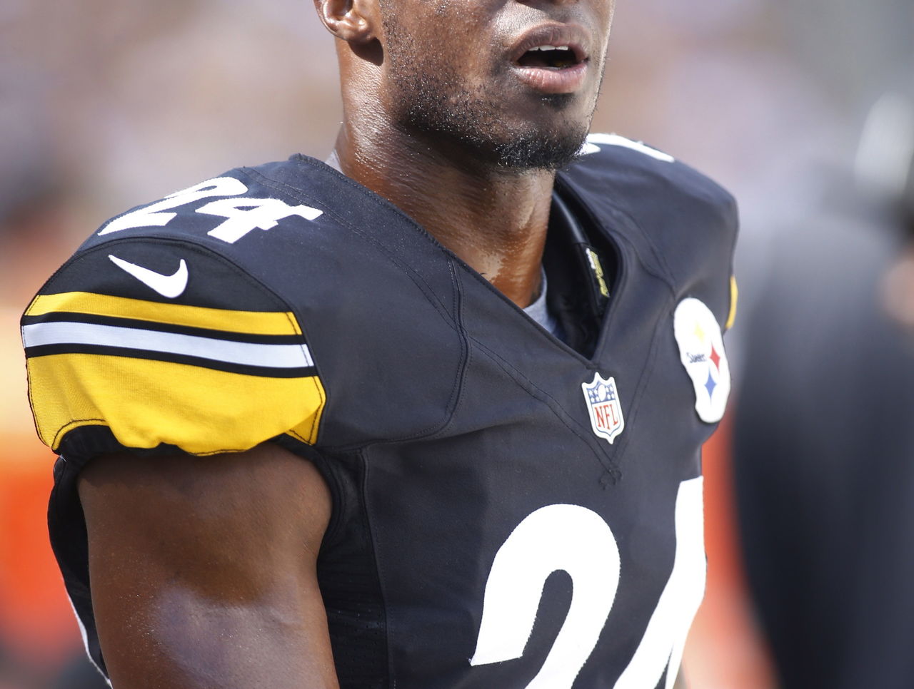 Ike Taylor on retirement, Dick Lebeau, and Troy Polamalu - Sports  Illustrated